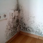 Причины запотевания окон: повышенная влажность и недостаток тепла